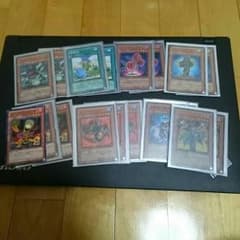 【遊戯王】植物のサムネイル