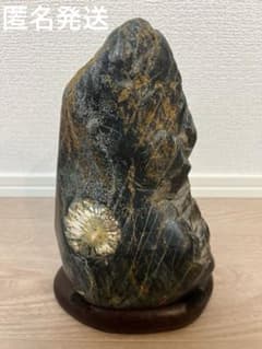 菊花石 菊一りん 台付き 岐阜根尾産 骨董品 - メルカリ
