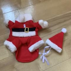 小型犬Sサイズ　サンタのサムネイル