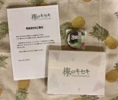 【値下】欅のキセキ VR ゴーグル 缶バッチのサムネイル