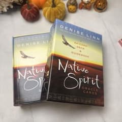 【美品】Native Spirit Oracle Cardsのサムネイル