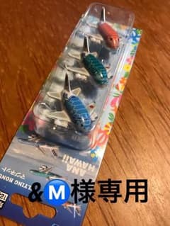 ANAホヌ就航記念マグネットのサムネイル