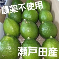 広島県瀬戸田産　グリーンレモン　農薬不使用のサムネイル