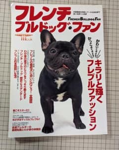 フレンチ・ブルドッグ・ファン : 天真爛漫な性格とクールな存在感で笑いを誘う人…のサムネイル