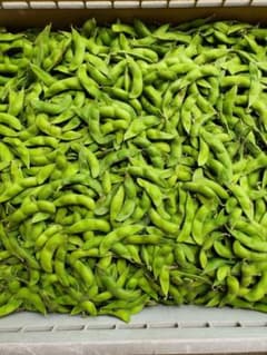 山形県産秘伝豆家庭用1キロのサムネイル