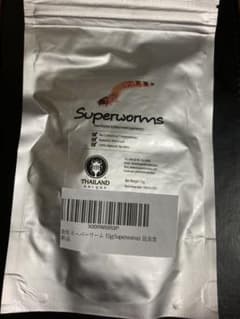 食用　昆虫食　スーパーワームのサムネイル