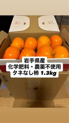 【即購入可】今期最終11/3収穫 タネなし柿1.3kgのサムネイル