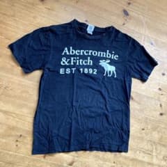 アバクロのロゴTシャツ　Lサイズのサムネイル