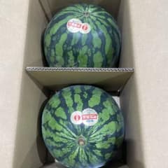 364山形県産尾花沢大玉スイカC品4Lサイズ1箱2玉入り - メルカリ