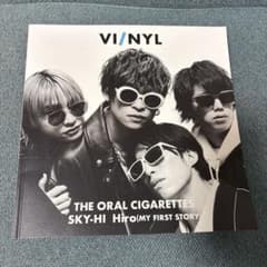 V!NYL アーティスト写真集のサムネイル