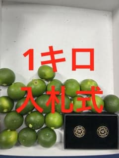 ハウススダチ 家庭用 約1キロ 入札式 - メルカリ