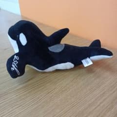 m42892445480_1.jpg?1754526843