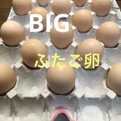 BIGふたご卵50個※Bのサムネイル