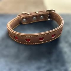 ペティオ (Petio) ハーティ平首輪 ブラウン 短毛・中型犬用 24mmのサムネイル