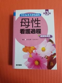 ウエルネスからみた 母性看護過程 第3版 +病態関連図のサムネイル