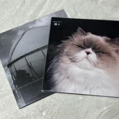 カネコアヤノ レコード 燦々 タオルケットは穏やかな ひとりでに 2点