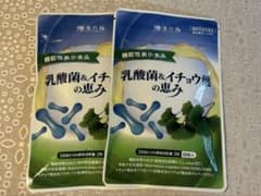 和漢の森　乳酸菌＆イチョウ葉の恵みのサムネイル