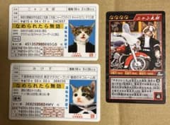 なめ猫 免許証風 ブロマイド ミケ子ニャン太郎】なめんなよ猫 なめねこ