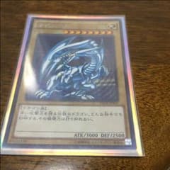 青眼の白龍 シクのサムネイル
