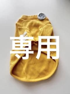 サーカスサーカス スマイルリブTのサムネイル