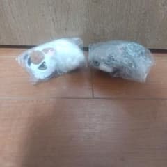 猫のぬいぐるみ マスコット 2種セットのサムネイル