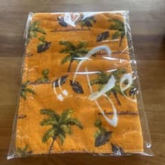 m42922093313_1.jpg?1723001070