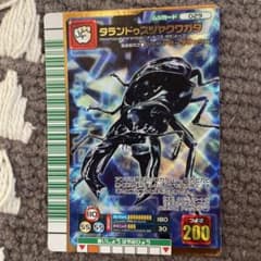 2007ファースト　タランドゥスツヤクワガタのサムネイル
