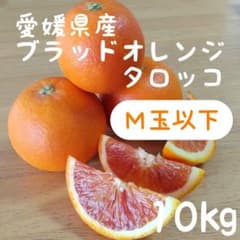 20愛媛県産 ブラッドオレンジ タロッコ M玉以下 10㎏ - メルカリ