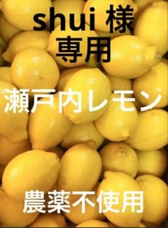Ⅴ国産瀬戸内レモン10Kg - メルカリ