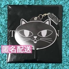 未使用】2PM ミニうちわキーホルダー オクキャット テギョン - メルカリ