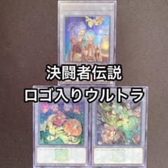 霊使い トークン アウス エリア ヒータ ウィン ウルトラ 3枚セット