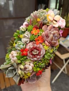 そのまま飾れる多肉植物寄せ植え♡のサムネイル