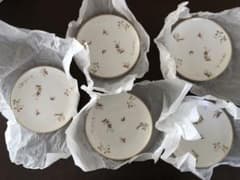 【新品未使用】 たち吉 LANCETTI MILANO 銘々皿5枚のサムネイル