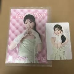 AKB48 八木愛月 好きish フォトカード セット - メルカリ