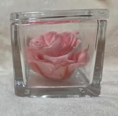 DEAR BOUQUET　プリザーブドフラワー ピンクローズ ガラスケース　薔薇のサムネイル