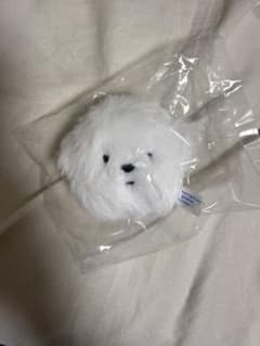 yeye ムンゲ ぬいぐるみクリップ ガチャ ムンゲEのサムネイル
