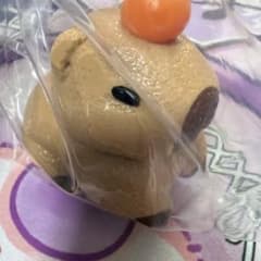 taonini 스퀴즈 카피바라