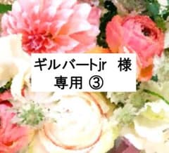 ギルバートjr 様 専用③ DWE 2021年3月 最新版 フルセット 美品多数