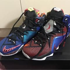 NIKE lebronxll se what the lebron レブロン12のサムネイル