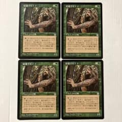 MTG 隠遁ドルイド 日本語版 4枚組 STH版 - メルカリ