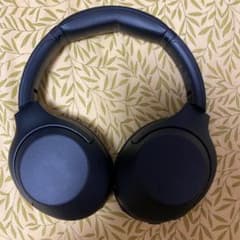 ソニーwh-xb900nのサムネイル