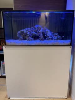90cm水槽フルセット クーラー濾過槽LED付 引取限定 - メルカリ