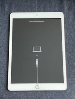 Apple iPad WI-FI 128GB 2019 GD 第7世代のサムネイル