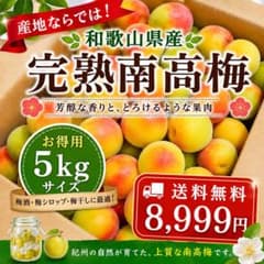 お得用‼️和歌山県産 完熟南高梅 2L.Lサイズ 5kg みかんキング - メルカリ
