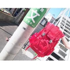 ［ntk♡*°様専用ページです］のサムネイル