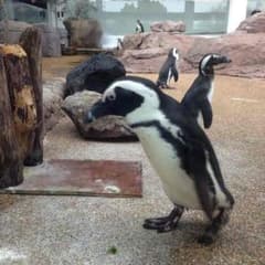 MAYU  様専用  2枚おまとめのサムネイル