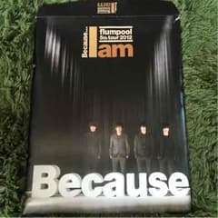 Because I am flumpool パンフレットのサムネイル