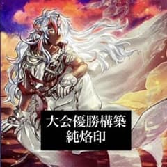 大会優勝構築 構築済みデッキ 本格構築 純烙印 白き竜の落胤 黒き竜の