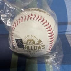 し*じ様 ヤクルトスワローズ つば九郎 サインボール ヤクルトスワローズ サイン用ボール スプリングキャンプ つば九郎