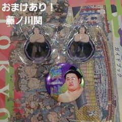 大相撲ガチャ　ホログラム缶バッジ　ミラーキーホルダー　藤ノ川　3点 - 2